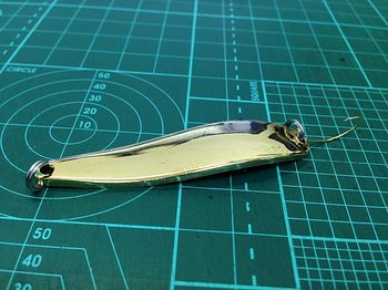 IMG_4756_resize1.jpg